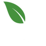 Eslynne’s Tea